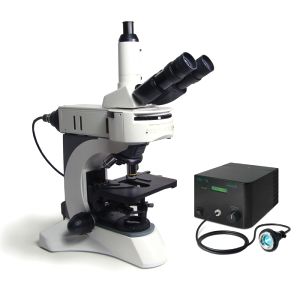 直立荧光显微镜