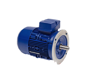BIRKENBEUL三相電動(dòng)機