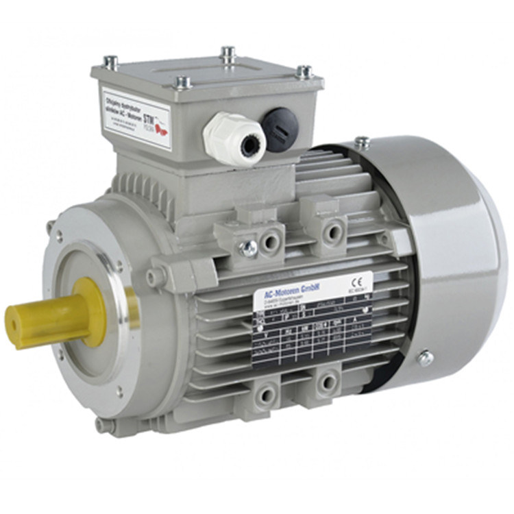 AC MOTOREN低壓電機IE2AC05B2000