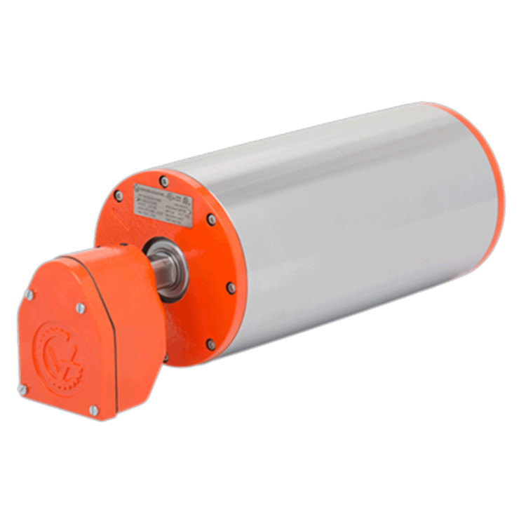 VAN DER GRAAF滾筒電機TM80B20