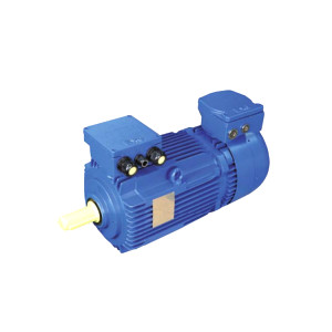 BARTEC VARNOST制動(dòng)電機