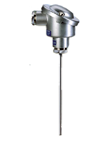 RECKMANN熱電偶Model A1R9-B2000GXA-K11XX+4R15-812
